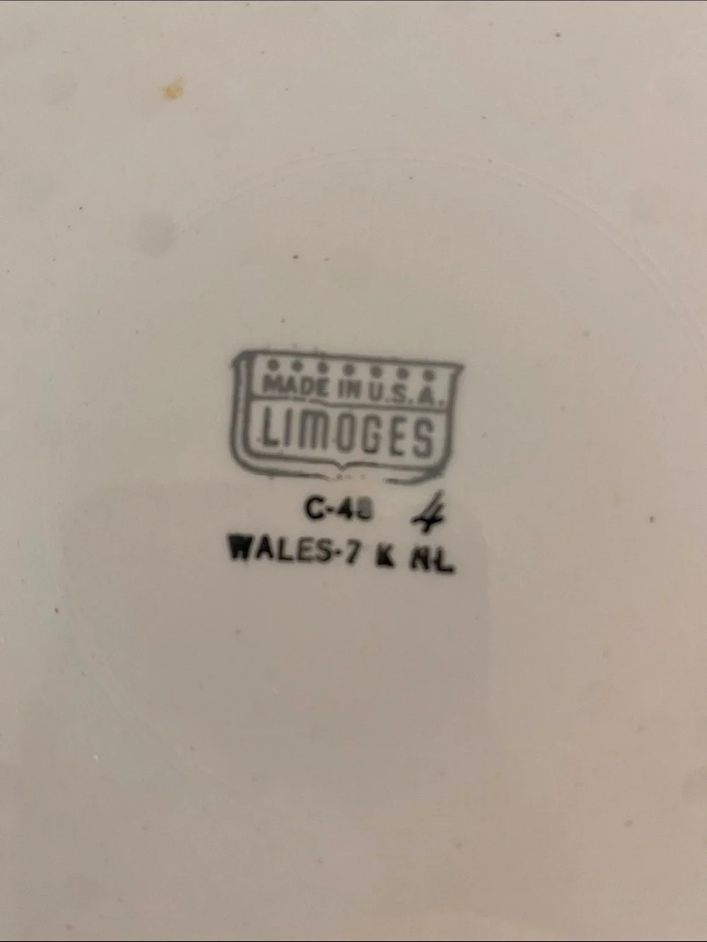 Limoges beautiful plate